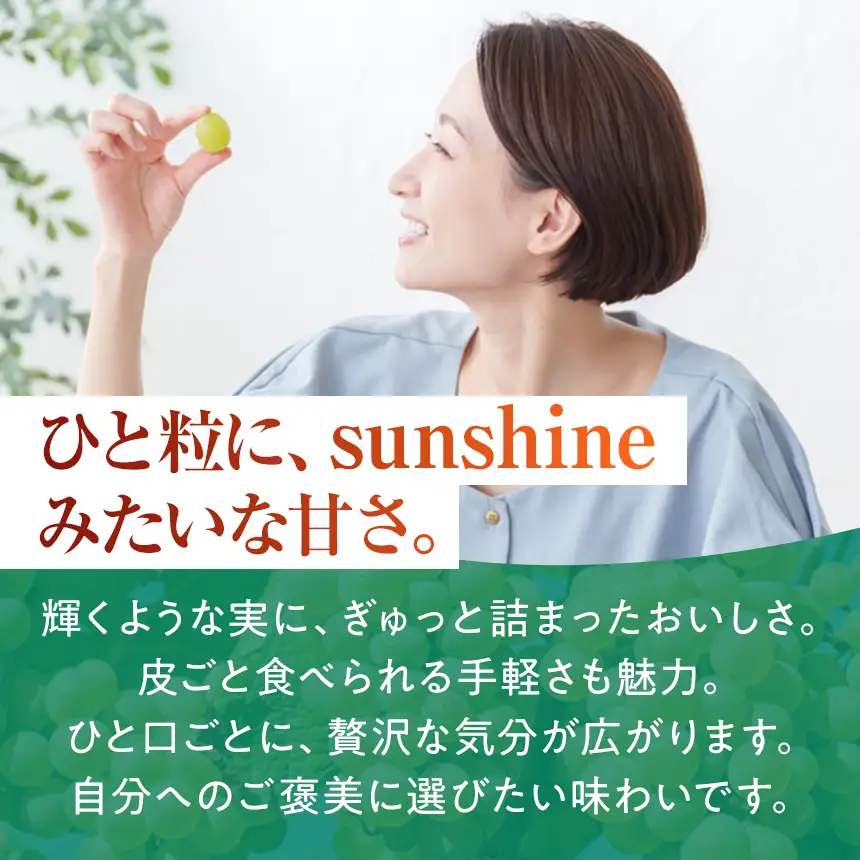 八ヶ岳西麓産 シャインマスカット 2房 ( 計 1.2kg 以上 )【2026年9月中旬～発送】