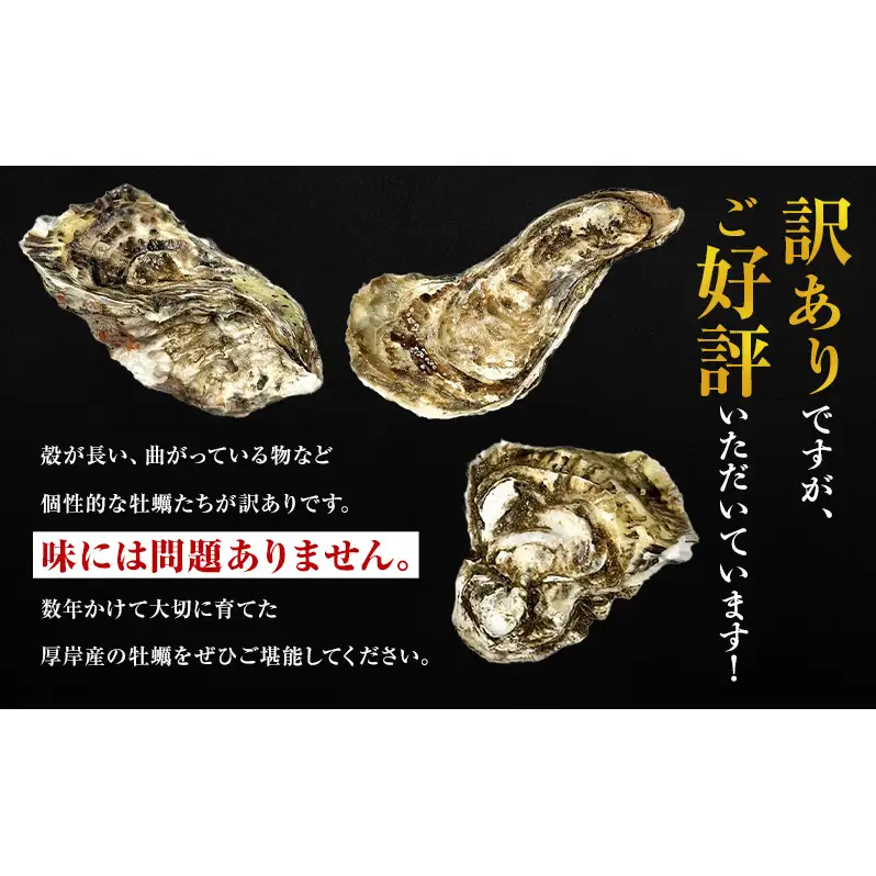 [11～3月]定期便 訳あり 厚岸産牡蠣 約4kg 規格外 ブランド牡蠣