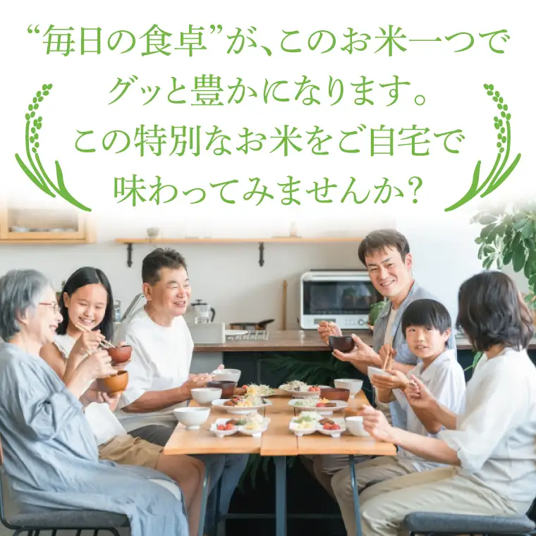 【3ヶ月定期便】【金賞農家が栽培した家庭用米】立神米「にじのきらめき」10kg×3回（白米）【谷田部農産】令和8年産｜茨城県 大子町 奥久慈 大子産米 精米 米 コンテスト 受賞 生産者（BT085）