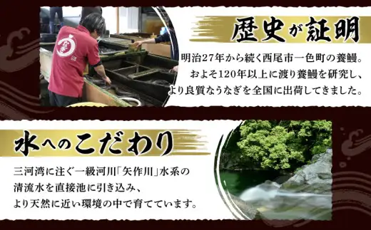 一色産うなぎ　無頭　長蒲焼3尾（480g）・I084