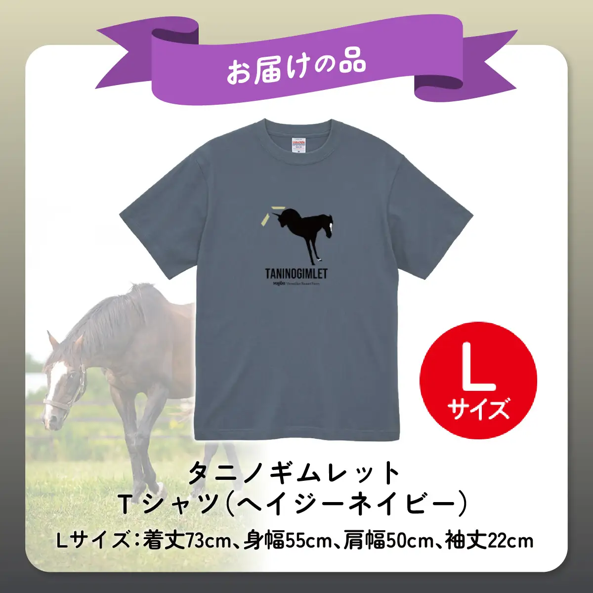 【TVで紹介！ 】【破壊神タニノギムレット】（ヘイジーネイビー）Ｔシャツ 選べる４サイズ【Ｌ】 BRTV104-3
