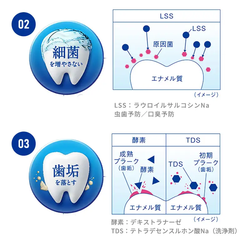 ライオン クリニカ オーラルケア 各3本 歯磨きセット