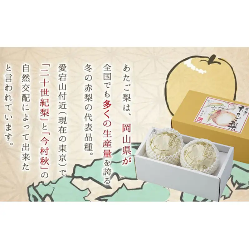 あたご梨 3～6玉 合計約4kg 梨 なし 果物 フルーツ 岡山県産 2026年 岡山県産 梨