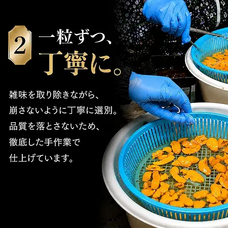 【予約商品】津軽海峡産　無添加　極上　瓶詰め生ウニ　180g×3本