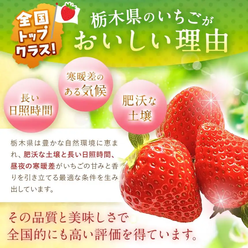  【2027年先行予約】〔定期便3回〕鮮度抜群 いちご とちあいか 290g×8P【栃木県共通返礼品 真岡市産】 栃木県矢板市