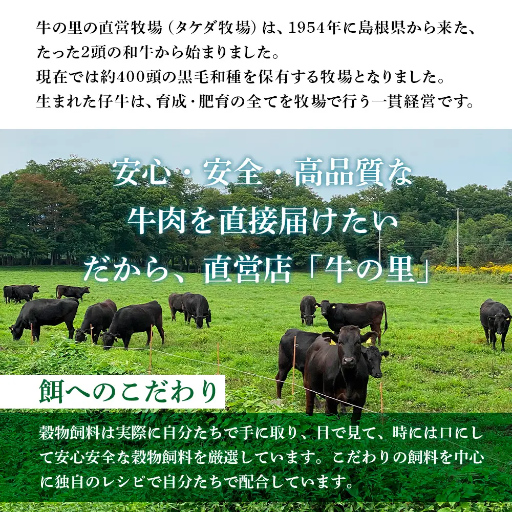 【5営業日以内発送】牛の里ビーフハンバーグ（110g×6個）特製ソース（6袋）の詰合せ AG106