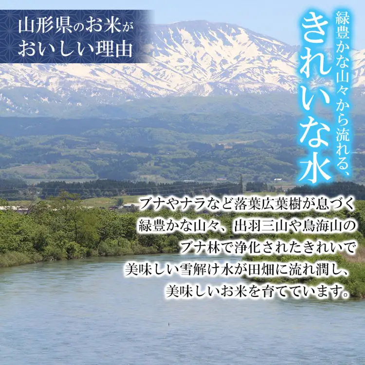 【令和7年産】 特別栽培米 つや姫 2kg (2kg×1袋)