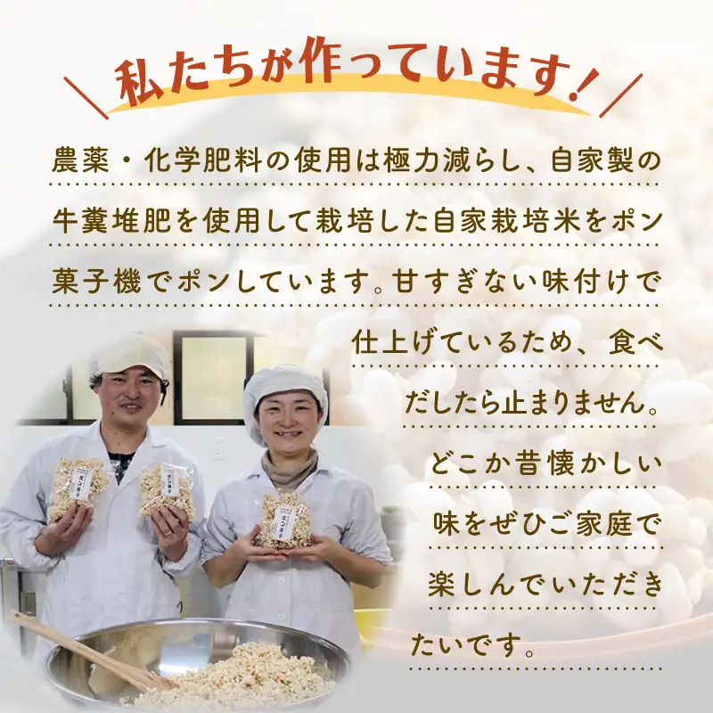 駄菓子 ポン菓子2種10袋セット 駄菓子