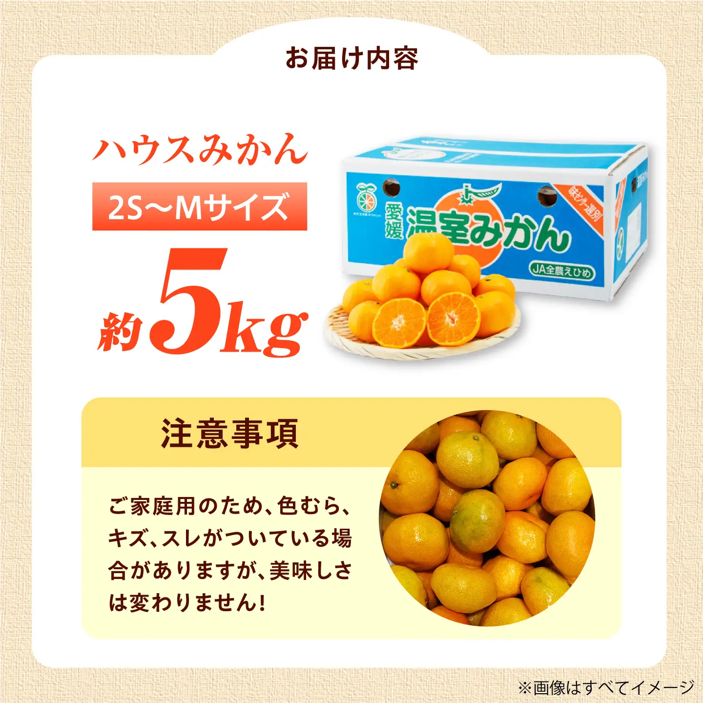 みかん ハウスみかん 約5kg ご家庭用 【7月下旬から9月下旬まで順次発送】 / フルーツ 果物 柑橘 蜜柑 ミカン はうすみかん オレンジ 小玉 甘い 先行予約 約 5kg 愛媛 果汁 人気 おすすめ  / 愛媛県砥部町/株式会社フジ・アグリフーズ[BJBI015]