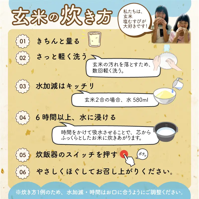 米 令和8年産 コシヒカリ玄米 5kg 先行予約 [A-040028]