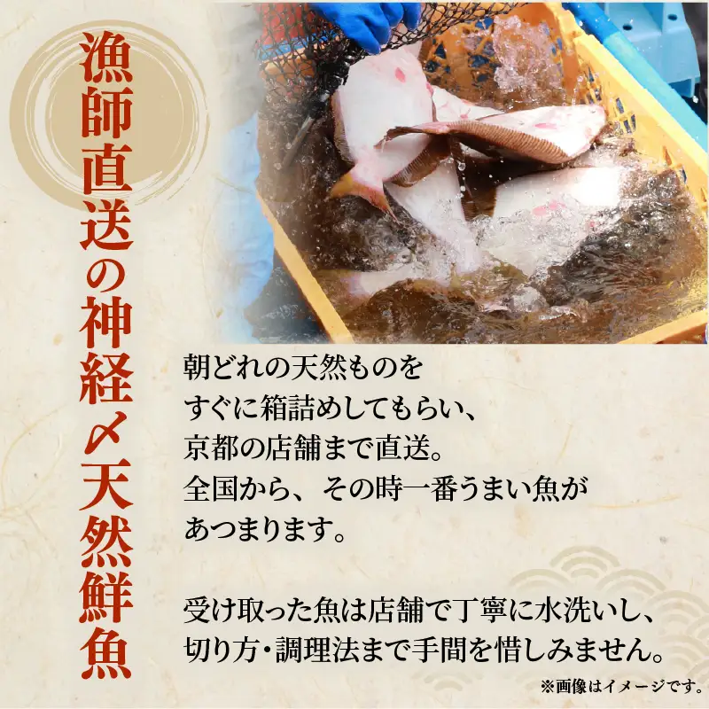 ひらめ昆布〆 3パック(50g×3) ヒラメ  昆布締め  神経締め