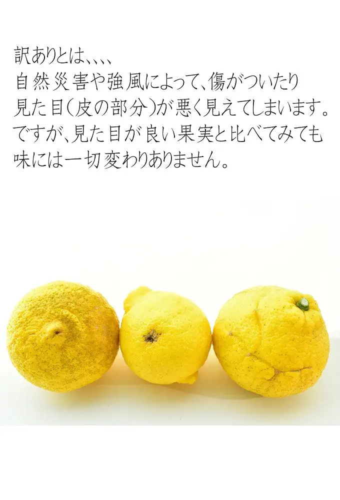 はるかみかん 6kg 訳あり はるか 和歌山県産より農家直送 フルーツ 果物 家庭用［Mg29］