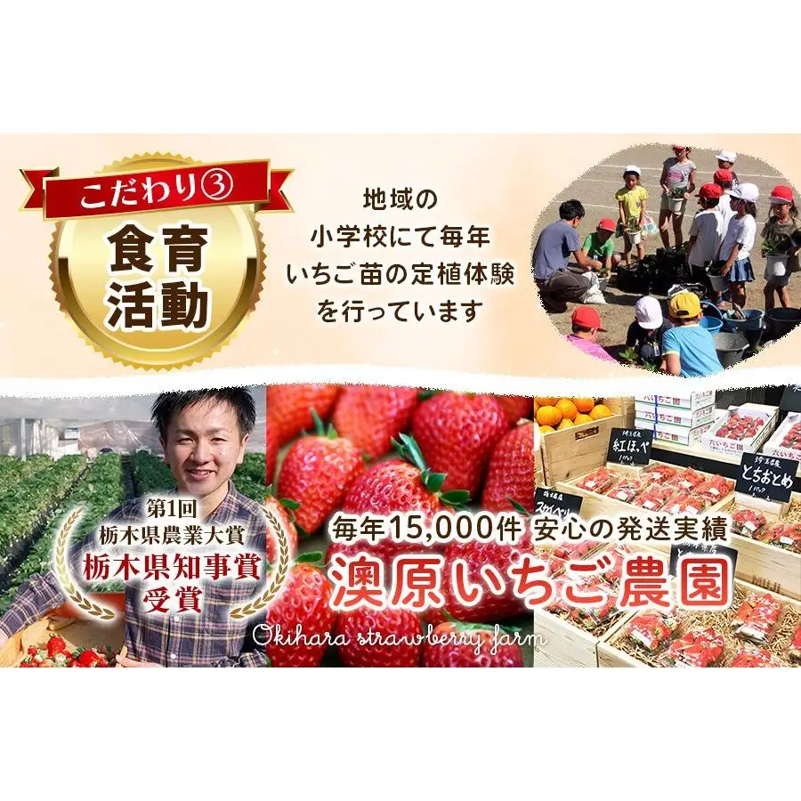 【2027年先行予約】幻のとちひめ×伝統の女峰 食べ比べセット 560g