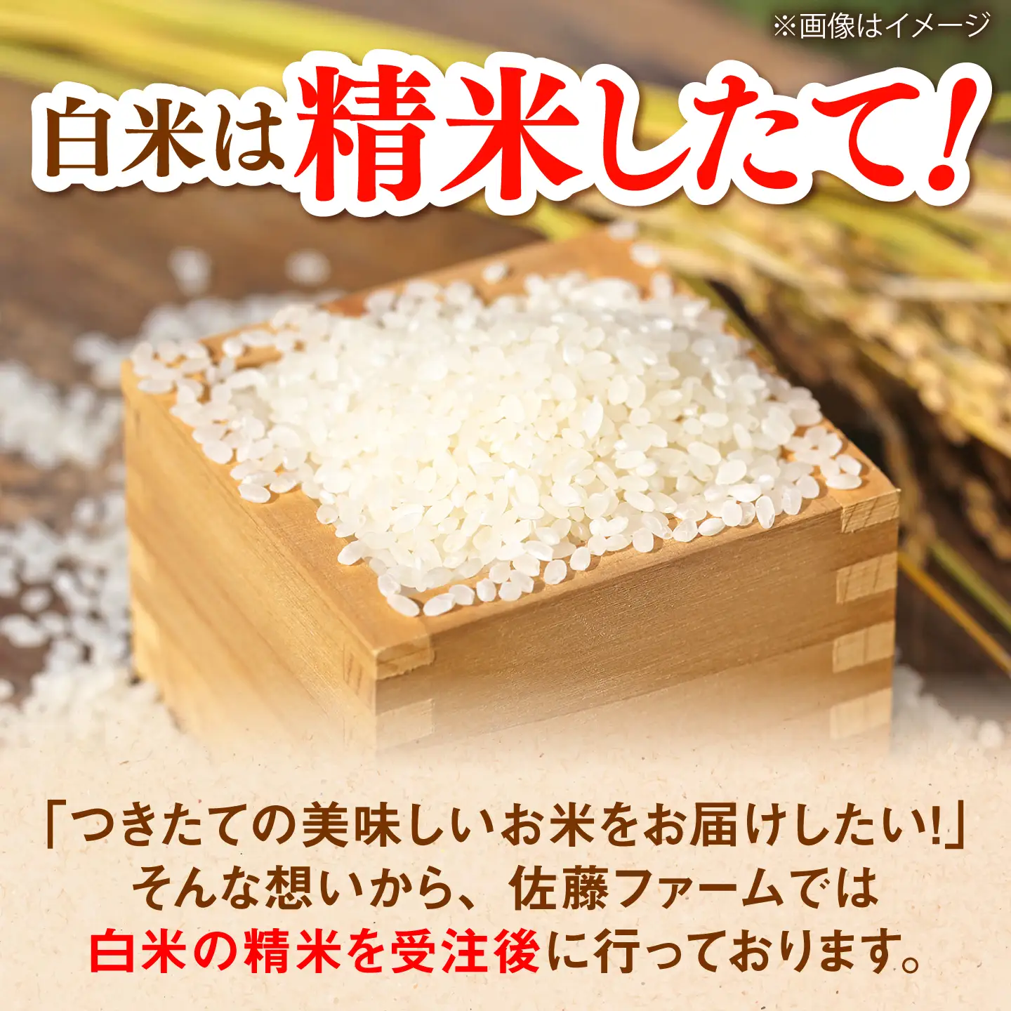 【有機JAS認証】【令和8年産 新米予約】有機栽培米 雲南市産きぬむすめ 10kg  [AIEO003]