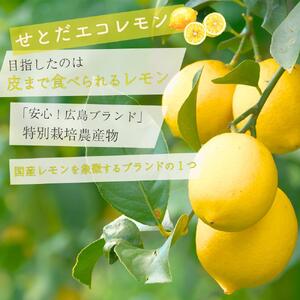 瀬戸田レモン蜂蜜シロップ漬セット