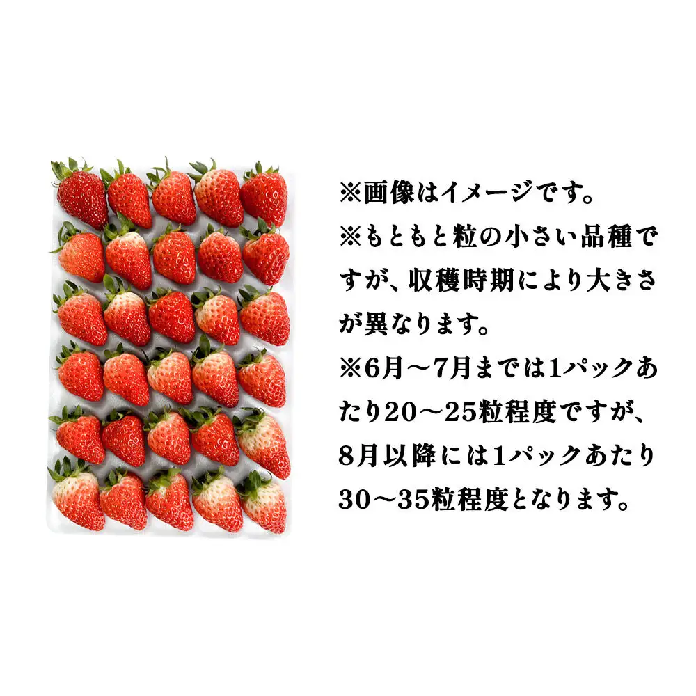 夏イチゴ「秋田夏響」 生 20～35粒詰め合わせ×2パック  いちご 苺 なつひびき