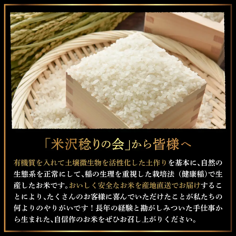 【先行予約】令和8年産 雪若丸 玄米 30kg （ 30kg × 1袋 ） 産地直送 2026年産 米沢産 玄米 山形県 米沢市