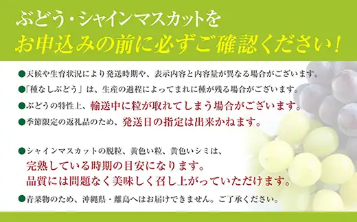 【2026年発送分】【フルーツ王国やまなし】 巨峰  ３～６房（２kg以上）　ぶどう 葡萄 ブドウ 種なし 大粒 山梨県産 フルーツ 果物 くだもの 産地直送 富士川町