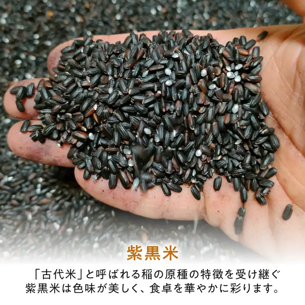 五色米＆紫黒米 古代米食べ比べセット（各1セット） 滋賀県長浜市/草野農場[AQDT022]