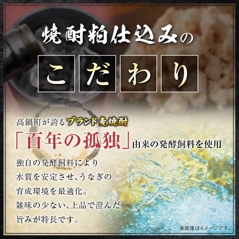 うなぎ 蒲焼 定期便 ＜計3回＞ 鰻 2尾 （計960g） 国産 ウナギ 3か月 連続 人気 ギフト 贈答品 おすすめ 小分け 宮崎県 高鍋町 名物【MR-g-008】