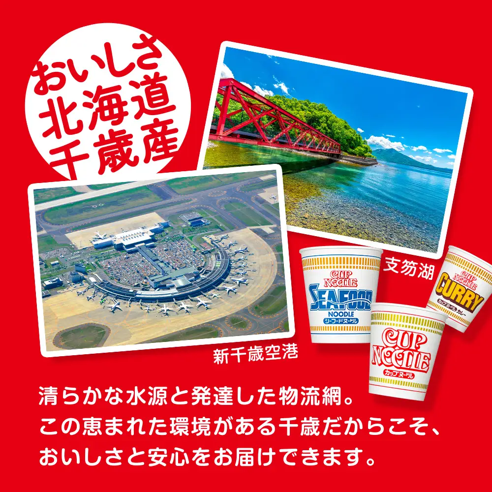 【頒布会3か月】日清　カップヌードルシリーズ2種20個（各10食）