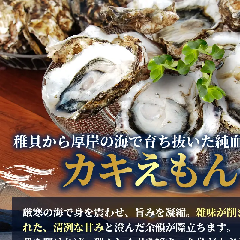 北海道 厚岸産 ブランド 殻付牡蠣 食べ比べ 弁天牡蠣 A3サイズ カキえもんLL サイズ 各12個 生食用 [ 牡蠣 カキ かき 生食 生食用 生牡蠣 食べ比べ 魚貝類 ブランド牡蠣 ]