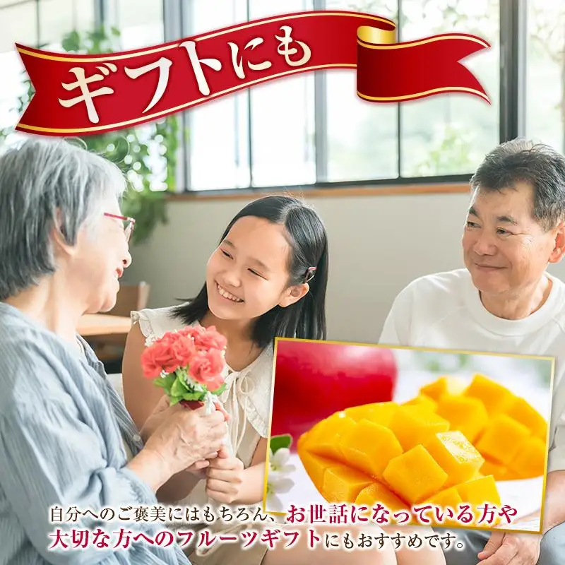 ＜2027年発送＞宮崎県産 完熟マンゴー 2Lサイズ×2玉（1玉350～459g） 宮崎 トロピカル フルーツ お取り寄せ 果物 旬