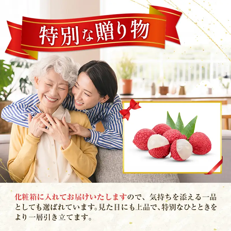 新富町産 生ライチ 約400g 9～15玉 国産 宮崎 贈答品 数量限定 B704-27