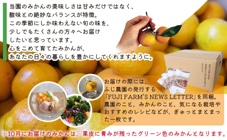 【3回定期便】ふじ農園の露地みかん 訳あり品 2.5kg(2S～M) みかん Wfn-0020