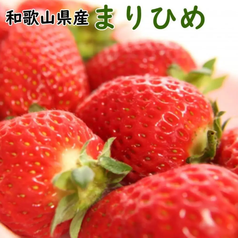 定期便 全3回 【2月・3月・4月発送】和歌山の春のフルーツ（ポンカン・不知火・まりひめ）［TM259］