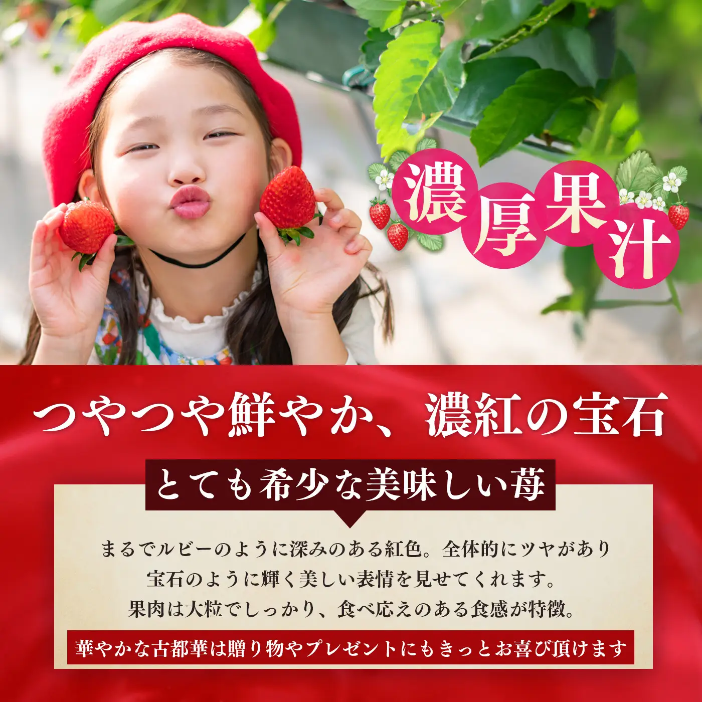 【 先行予約 】【 定期便 2回 】古都華 約540g （270g×2P）Lサイズ以上