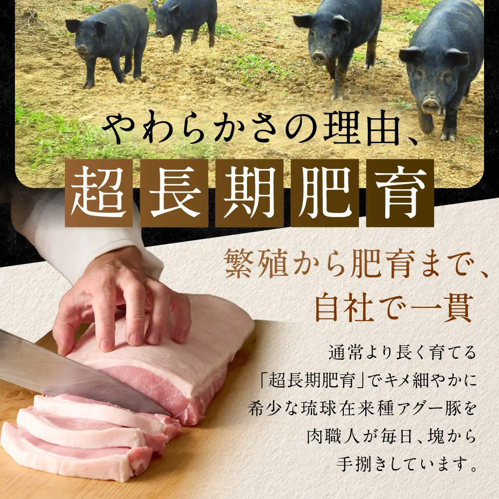 【焼肉金城】石垣島アグー豚ハンバーグ8個セット