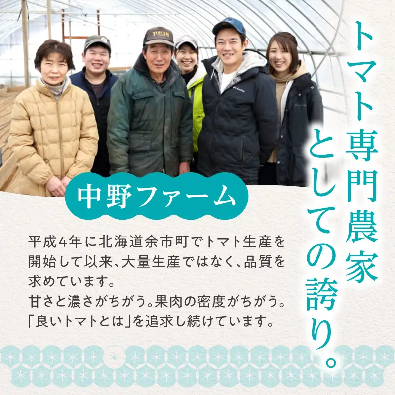 【7月上旬発送】余市町 中野ファーム トマトベリー 3kg トマト_Y026-0015