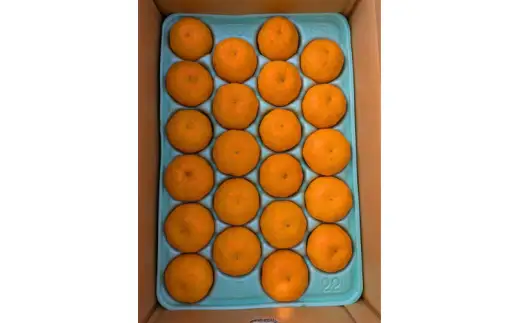 はるみ 和歌山 みかん 秀品 Mサイズ 22個入り 贈答用 / はるみ 柑橘 贈り物 フルーツ 果物 ※2027年1月中旬頃～3月上旬頃に旬頃に順次発送予定【ksmt013-r-22】