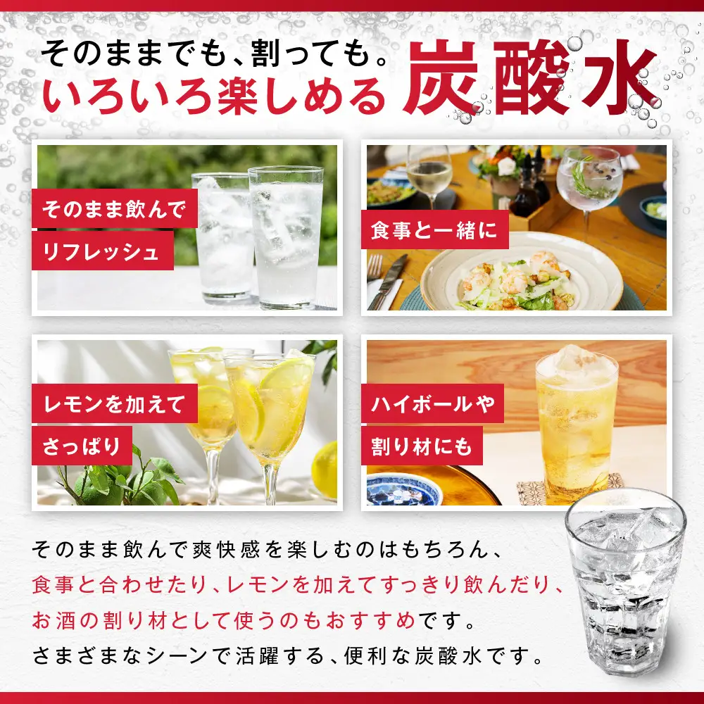 【定期便12か月】アサヒ 炭酸水 ウィルキンソンタンサン ペットボトル 500ml ×24本