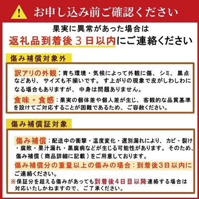 訳あり 河内晩柑 2L サイズ 以上 6玉  (約 3.5kg) サイズミックス 大樹農園