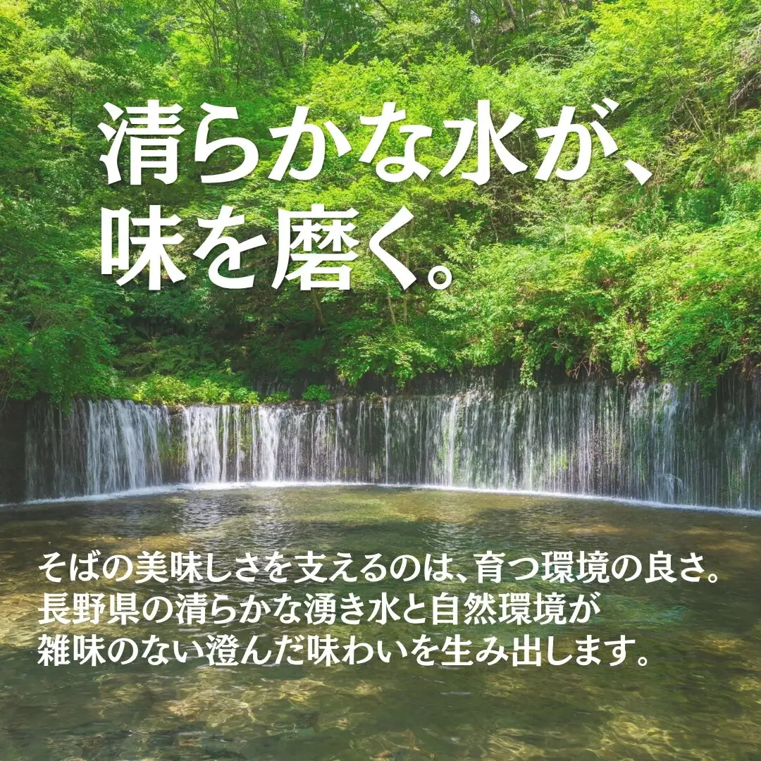 長野県産そば粉 3kg | そば粉