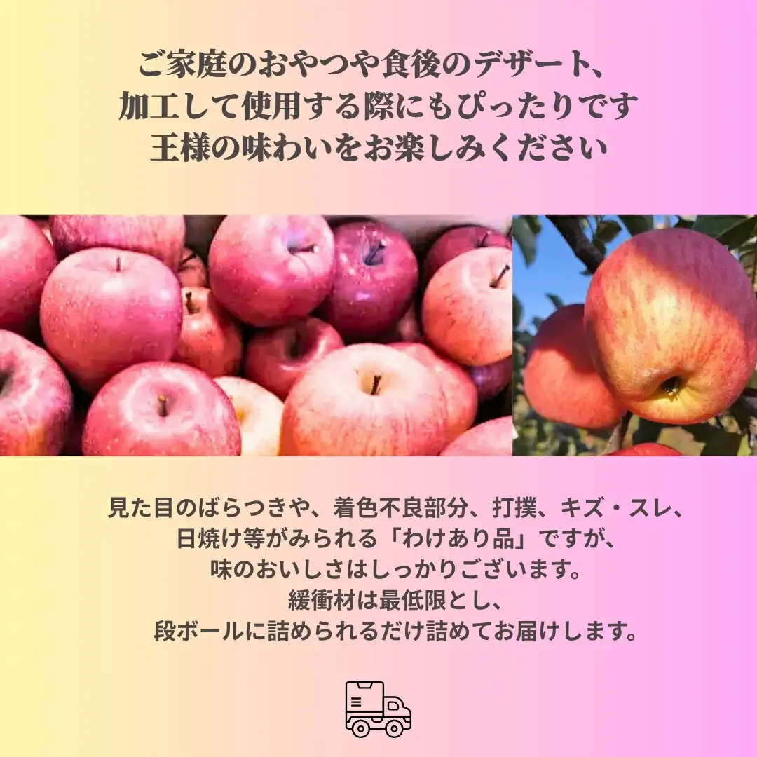 ふじ [お楽しみ用わけあり品] 13 kg~15 kg (30個~50個) 【半蔵農園】 | りんご