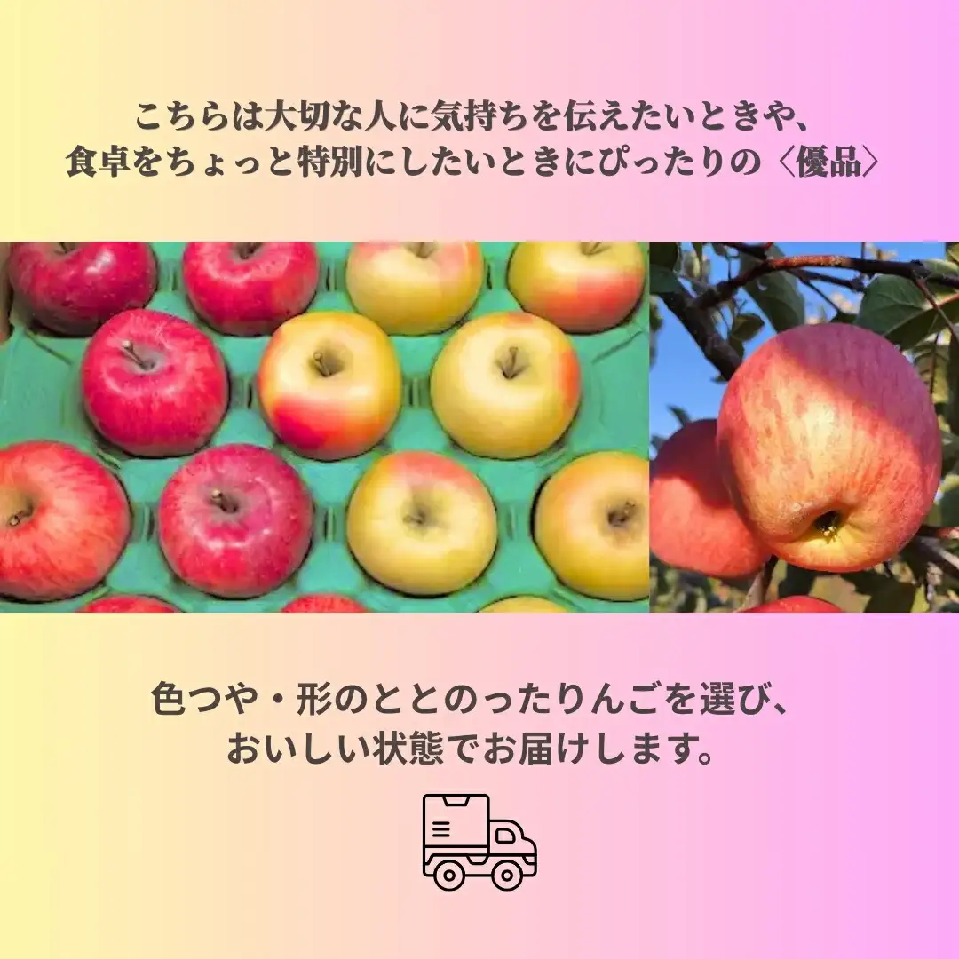 ぐんま名月×ふじ×シナノゴールド [優品] 味くらべセット 1段: 4 kg~5 kg (12個~18個) 【半蔵農園】 | りんご