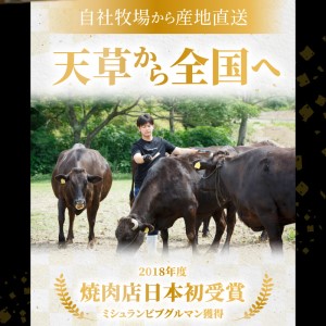 S001-013_熊本県産 黒毛和牛 サーロイン ブロック 3kg ステーキ ブロック肉 / 黒毛和牛 牛肉 肉 サーロイン ステーキ ブロック