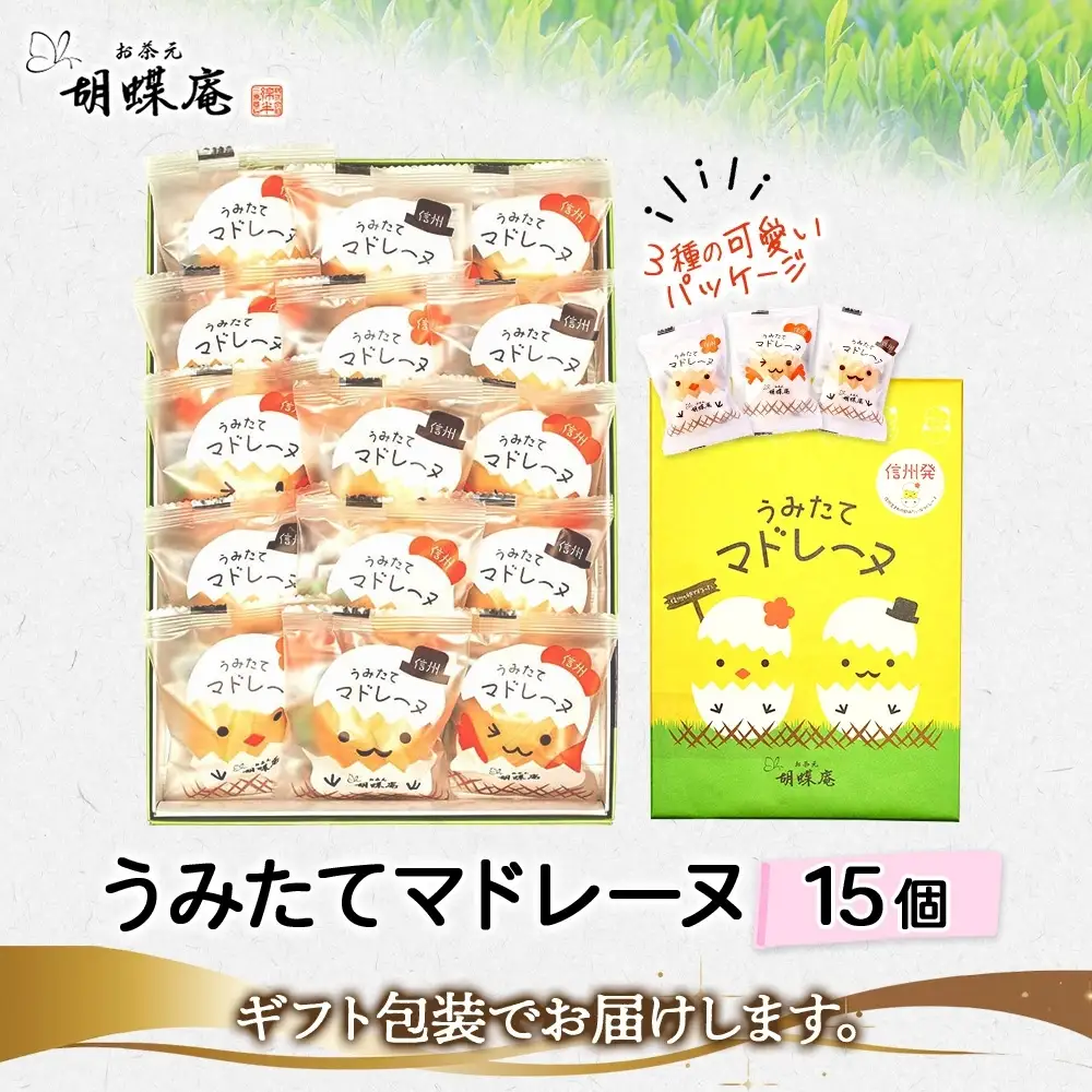 胡蝶庵　うみたてマドレーヌ　15個セット