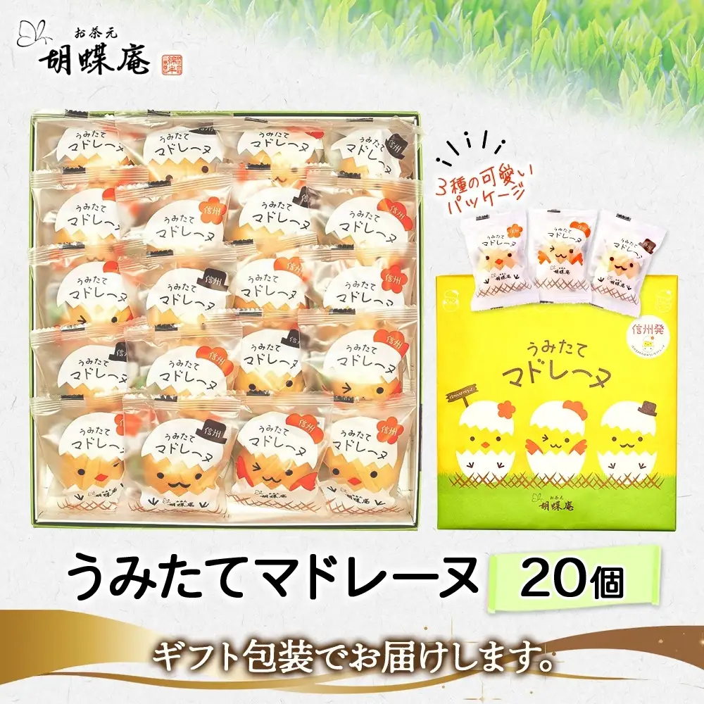 胡蝶庵　うみたてマドレーヌ　20個セット