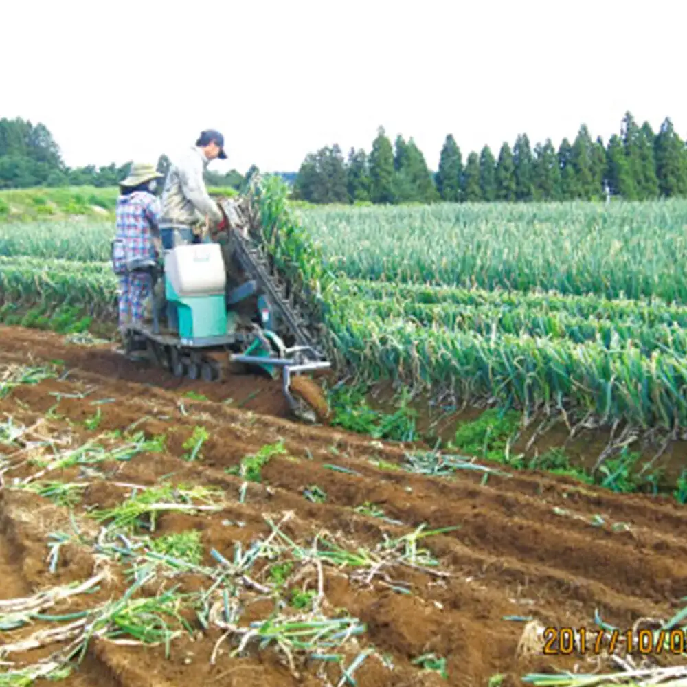 農業体験 青森県十和田市 半日コース（1名様分）＜レターパックプラス＞