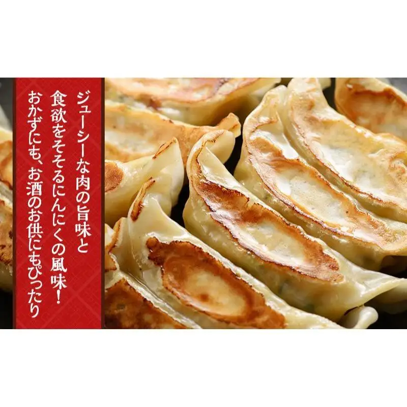 餃子 いちりきのとうもろこし餃子 100個 惣菜 餃子