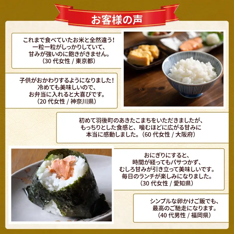 令和8年産 定期便 あきたこまち 15kg 全6回 秋田 米 あきたこまち
