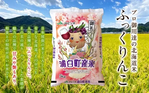 【 3回定期便 】〈 令和8年産 〉 浦臼産 ふっくりんこ 精白米 5kg お米 米 こめ コメ 白米 白飯 飯 ご飯 おにぎり ブランド米 ブランド 国産 北海道産 和食 魚料理 定期 定期配送 【 2026年11月上旬より順次発送 】