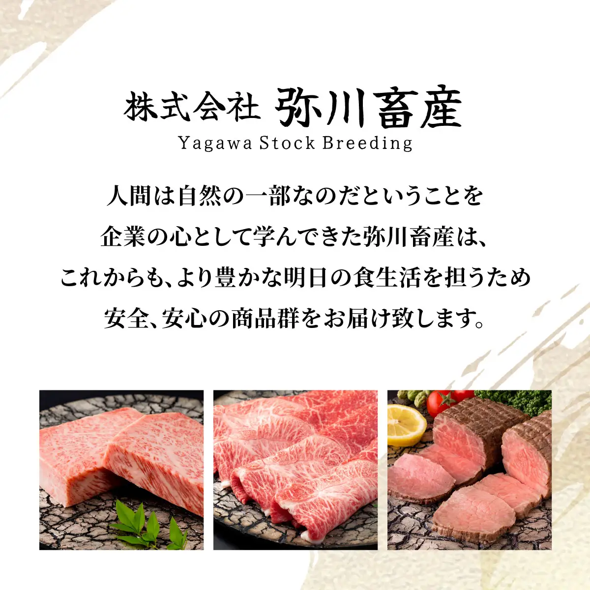 佐賀県産黒毛和牛サイコロヒレステーキ600g【42yc-032】