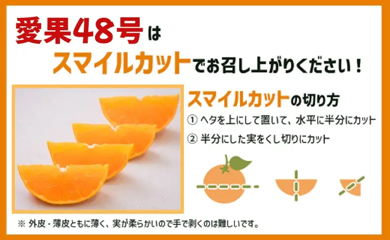 【2027年先行予約】みかん 愛果48号 3kg Mサイズ以上（みきゃん箱）紅プリンセス同一品種【2027年3月下旬から順次発送予定】 数量限定 愛媛県産 人気 柑橘 フルーツ 国産 おすすめ 伊予市 愛媛｜B557