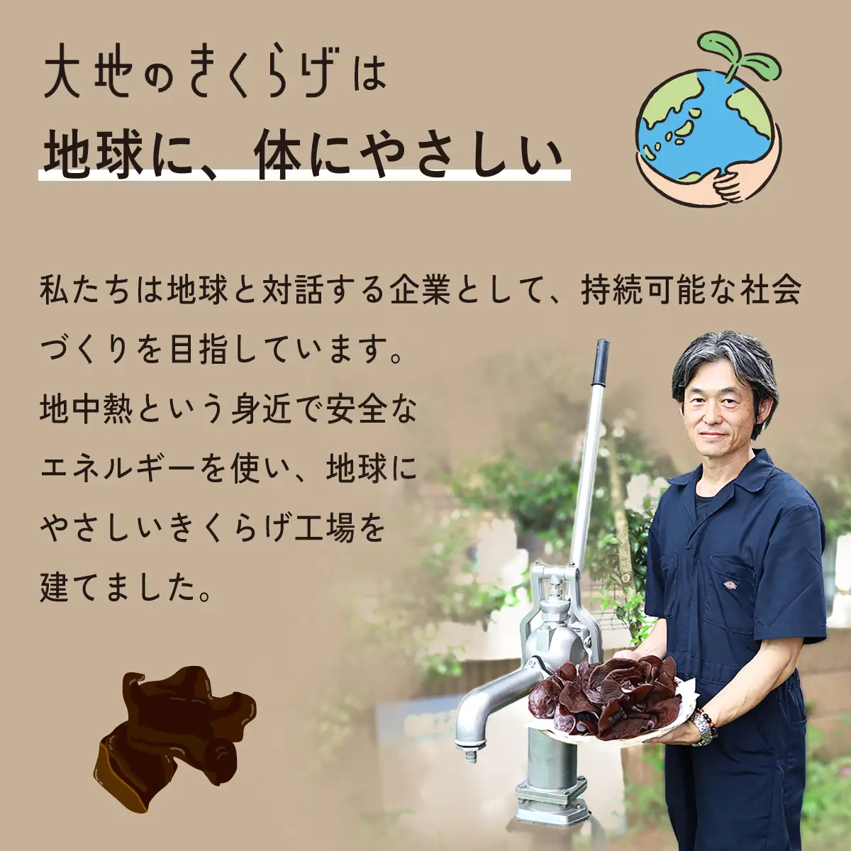 国産 乾燥きくらげ 細切りカット 30g 大地のきくらげ
