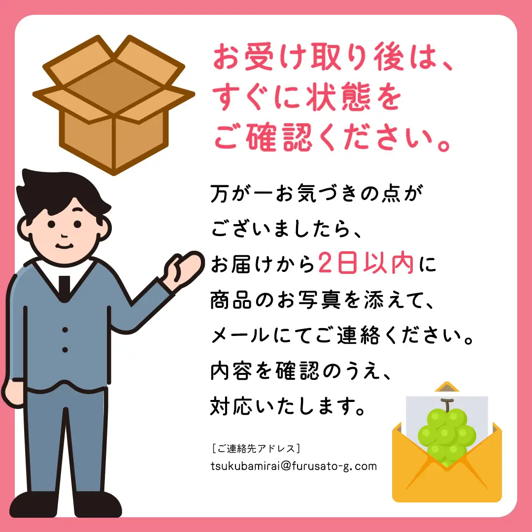 【定期便】フルーツセット（3回定期）（茨城県共通返礼品）